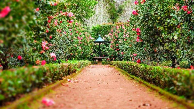 コミュニティ広場の季節の植物展示ワークフロー