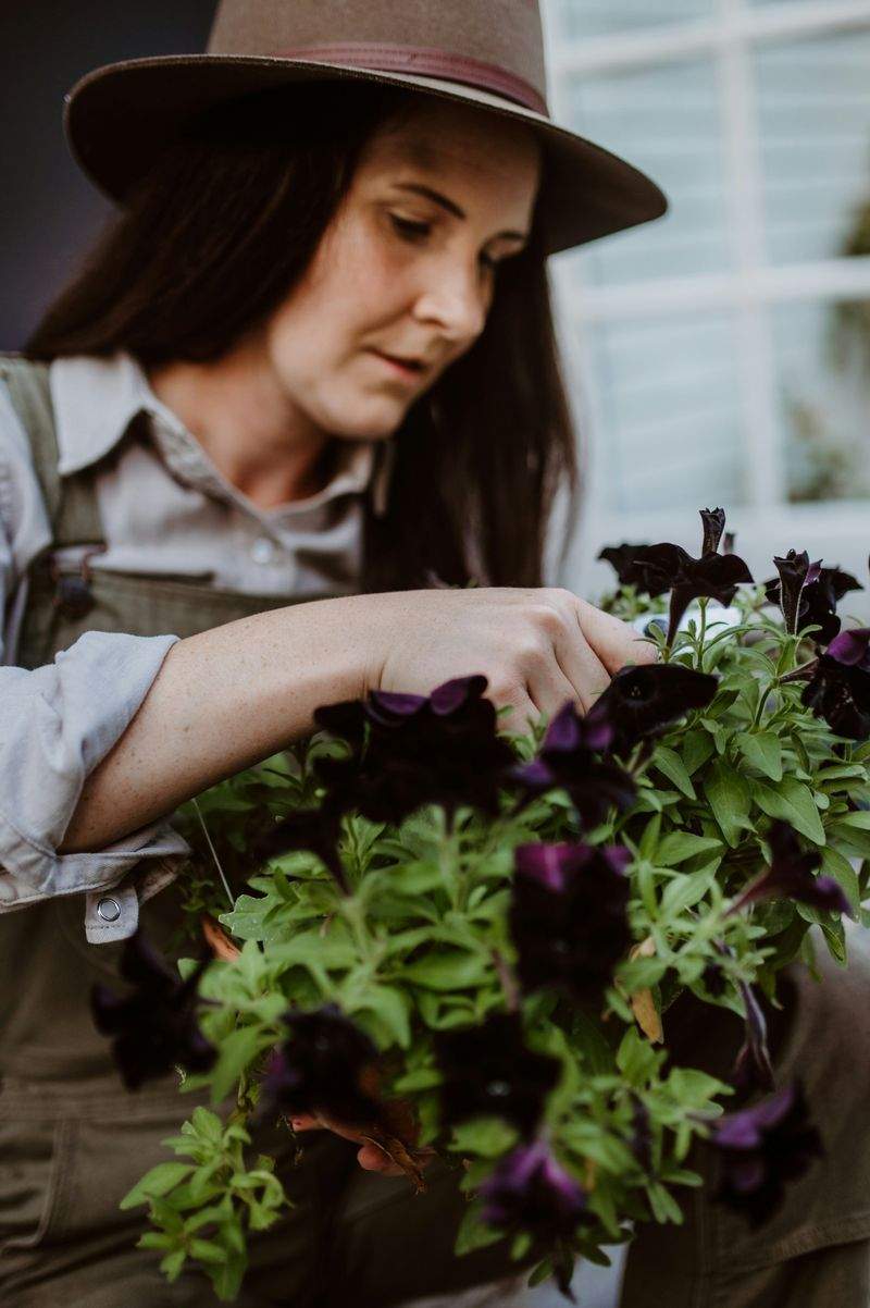 観葉植物のレンタル・メンテナンス